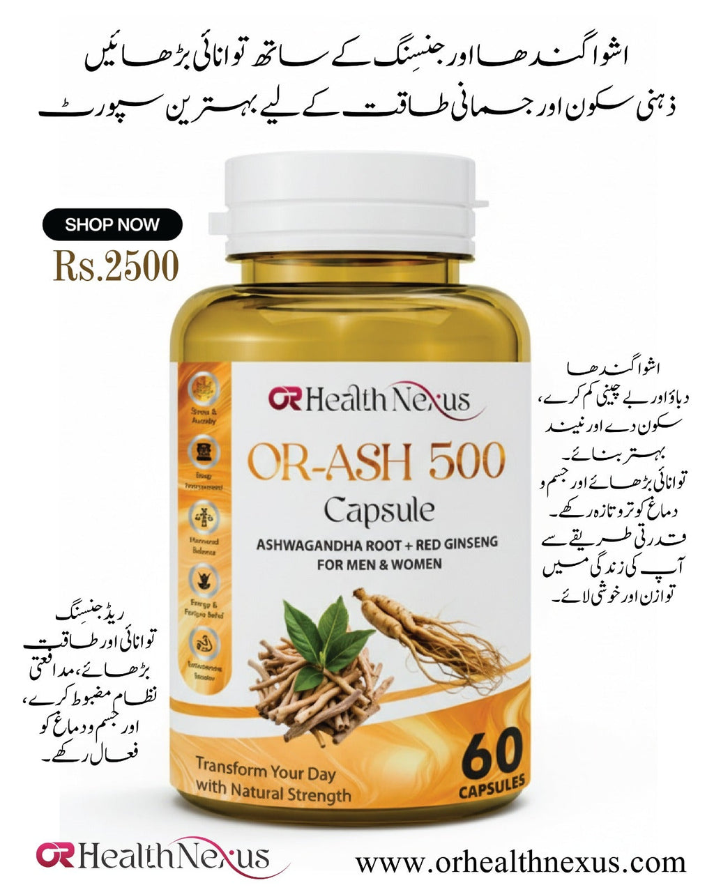 OR-ASH 500 Capsule